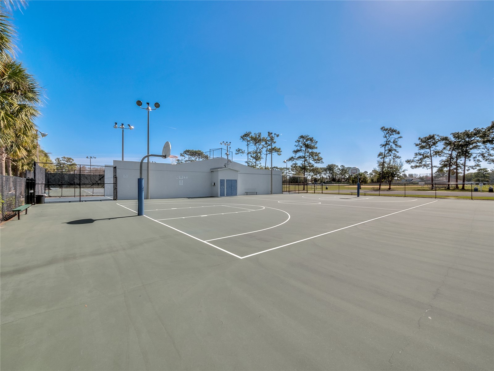 12620 Waterhaven Circle Orlando FL 32828 O6406740 image37