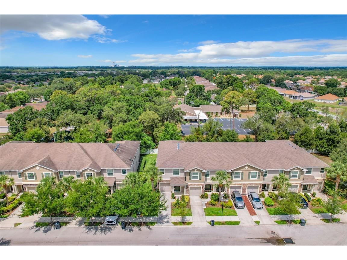 12621 Lexington Ridge Street Riverview FL 33578 T3446357 image1