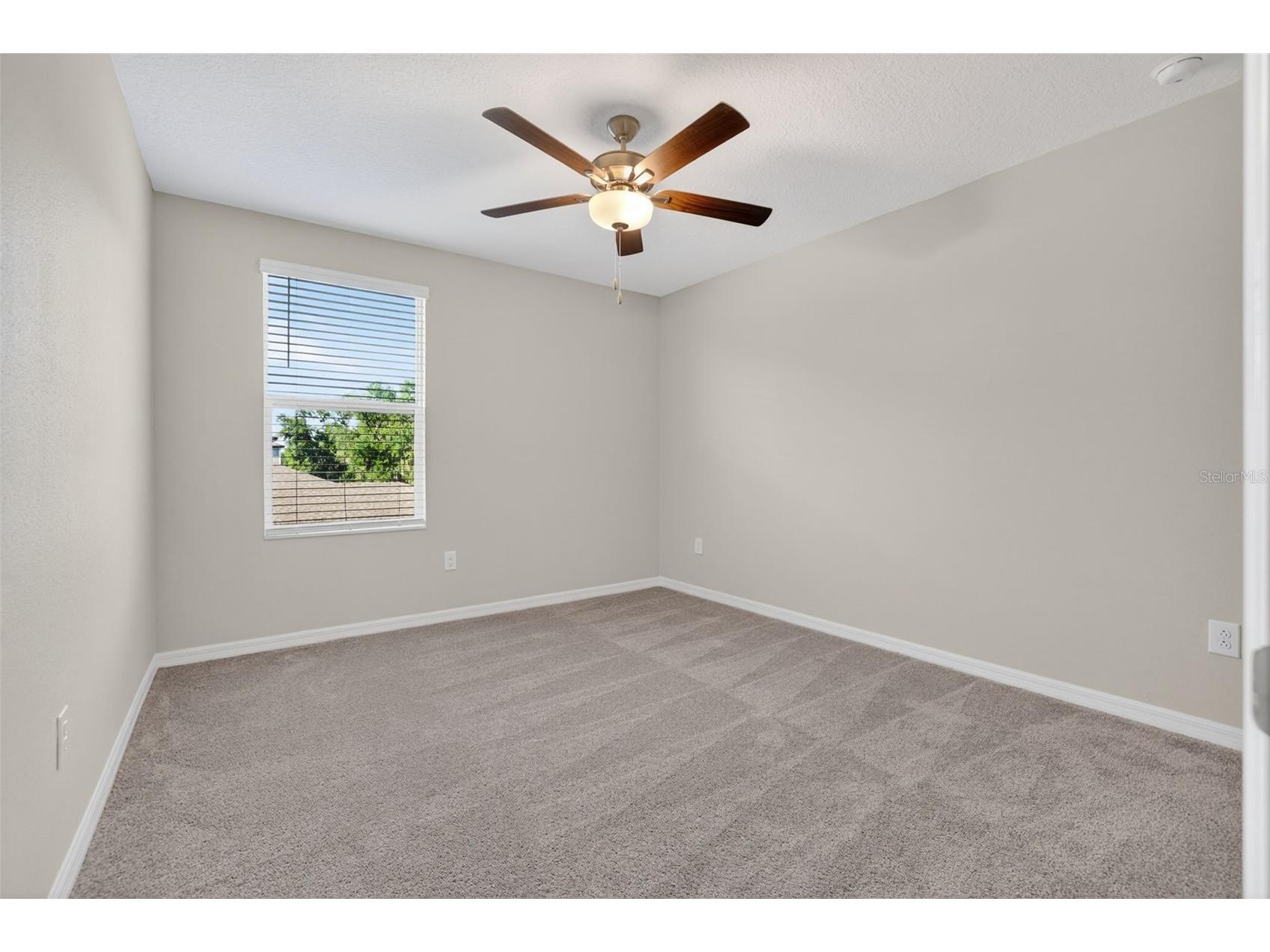 12621 Maple Bonsai Drive Riverview FL 33579 TB8511322 image28