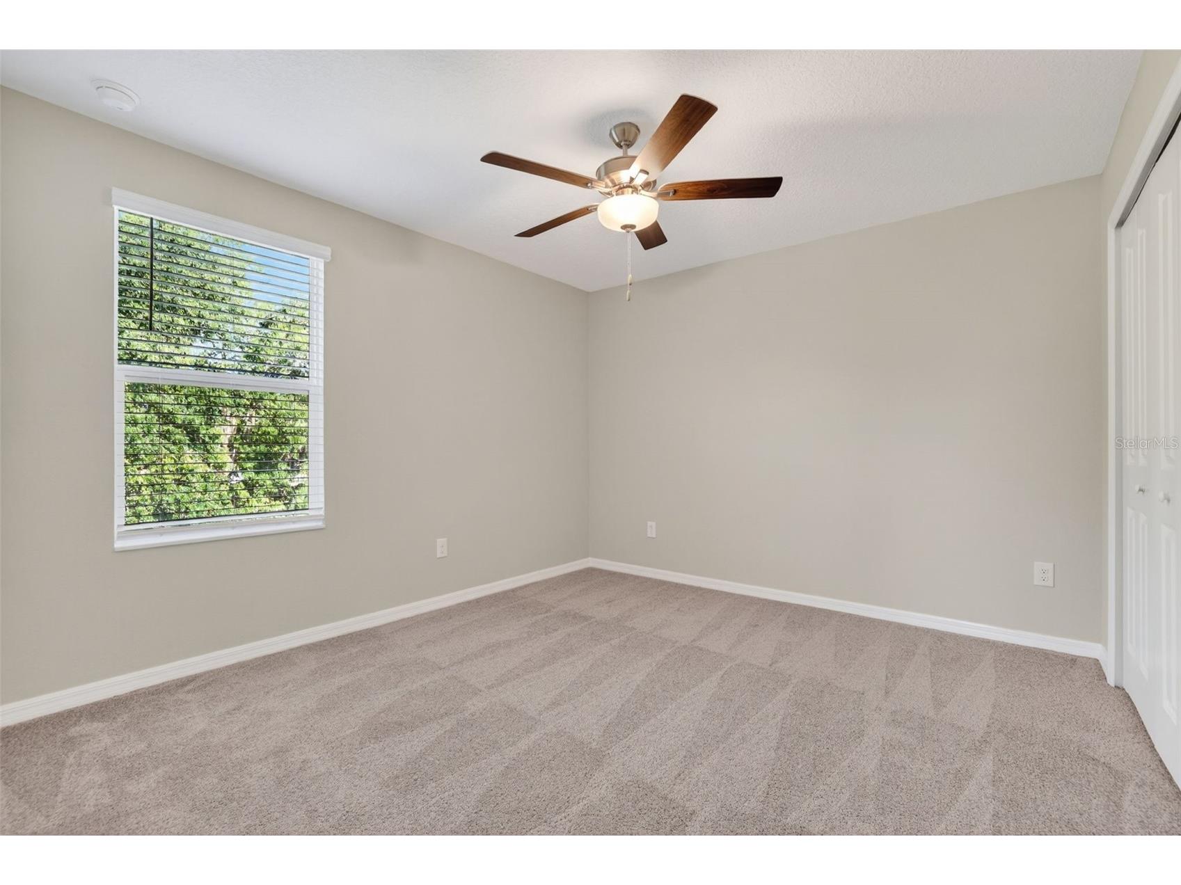 12621 Maple Bonsai Drive Riverview FL 33579 TB8511322 image29