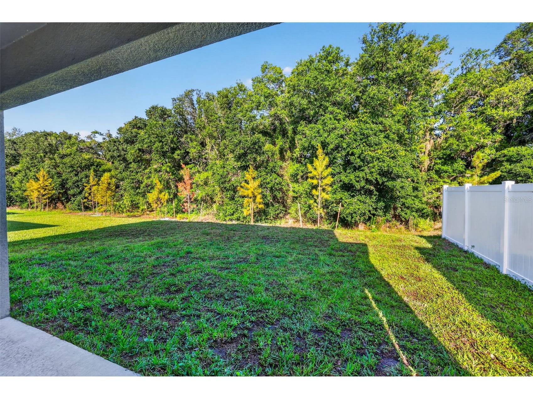 12621 Maple Bonsai Drive Riverview FL 33579 TB8511322 image32