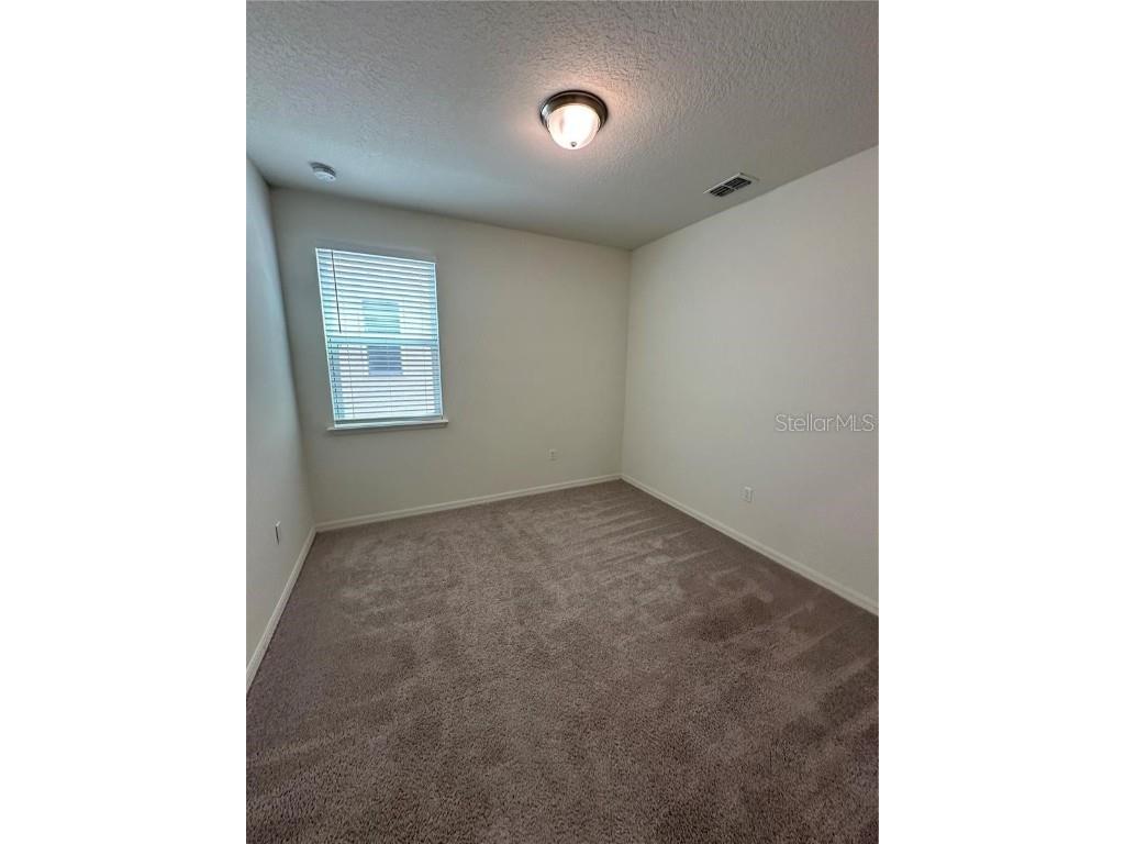 12621 Salomon Cove Drive Windermere FL 34786 S5138419 image11