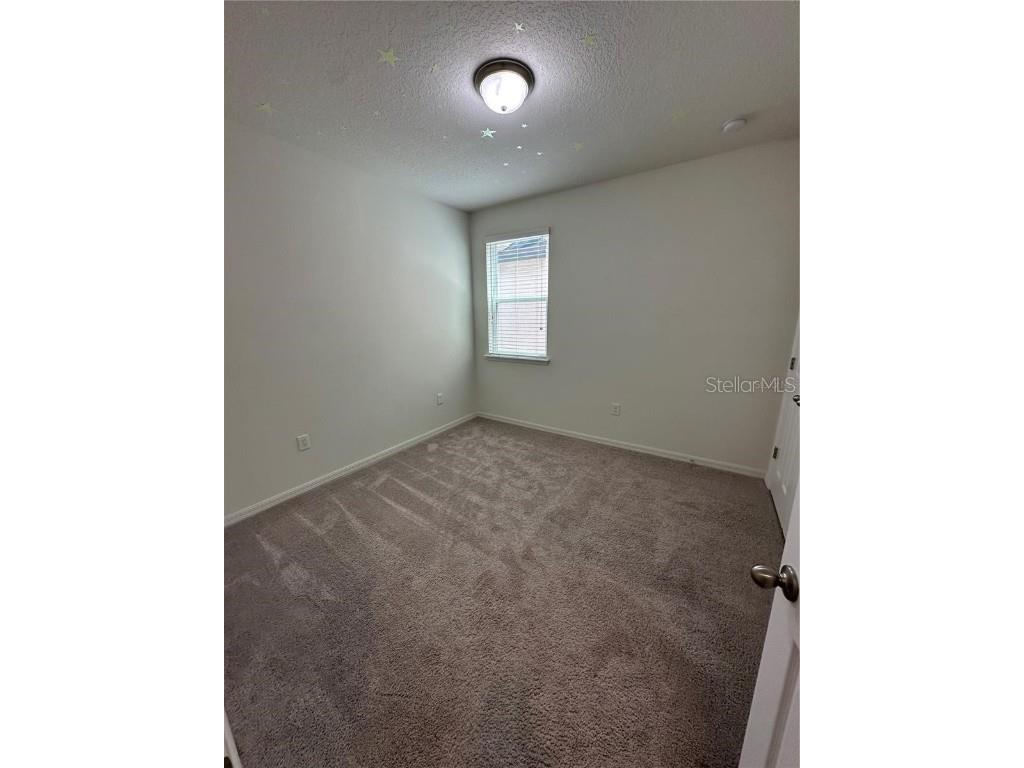 12621 Salomon Cove Drive Windermere FL 34786 S5138419 image12