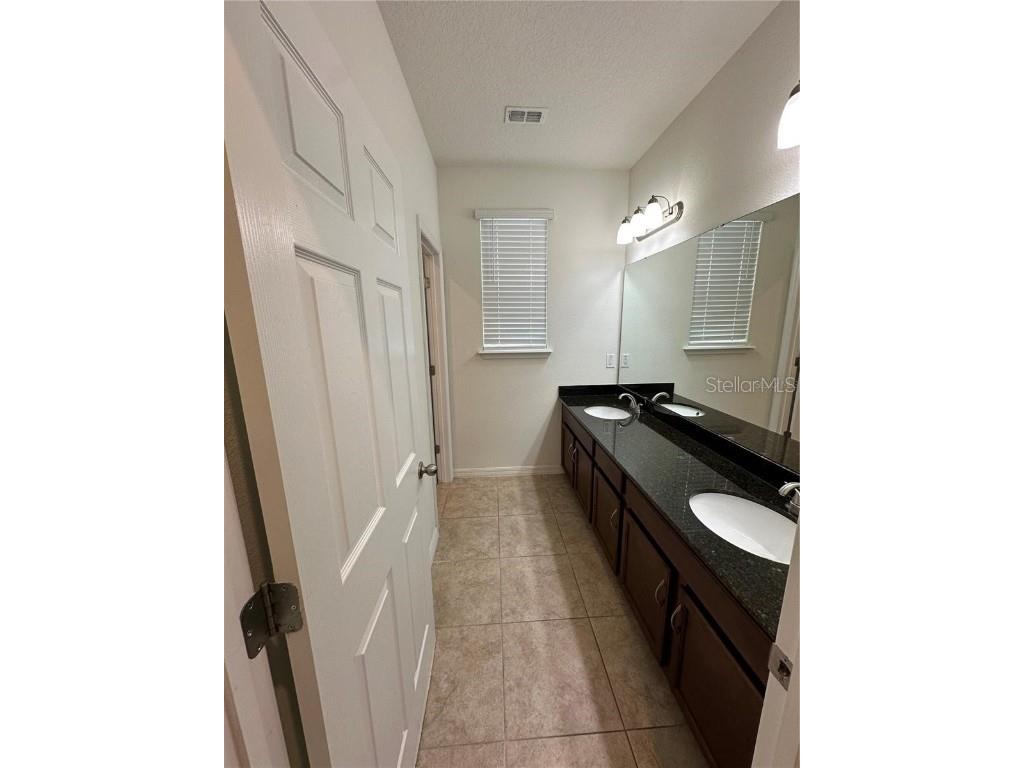 12621 Salomon Cove Drive Windermere FL 34786 S5138419 image14