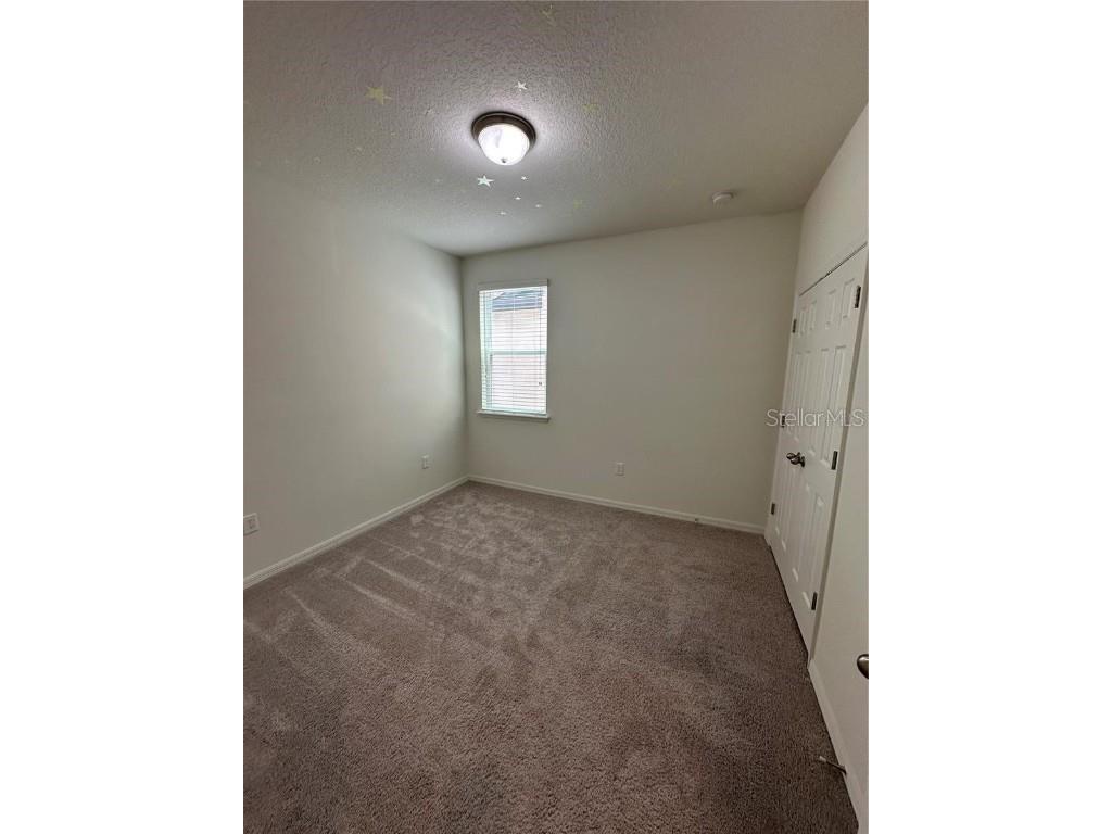 12621 Salomon Cove Drive Windermere FL 34786 S5138419 image17