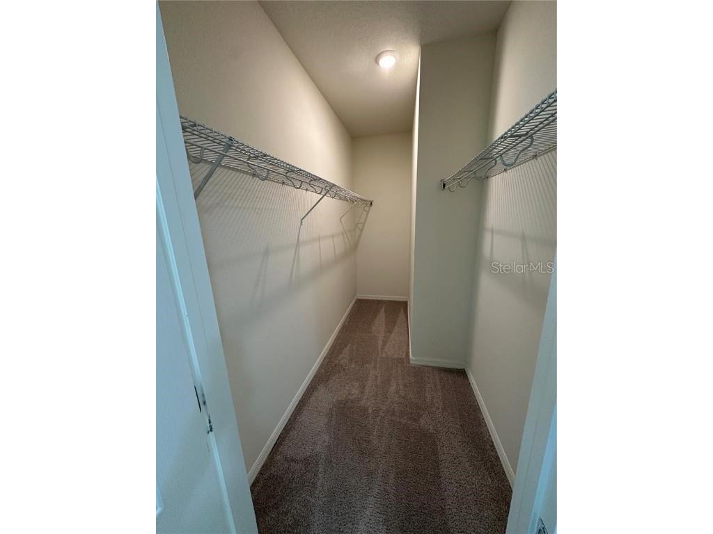 12621 Salomon Cove Drive Windermere FL 34786 S5138419 image20