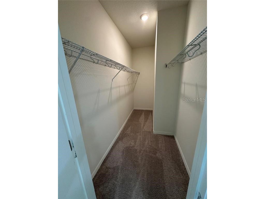 12621 Salomon Cove Drive Windermere FL 34786 S5138419 image21