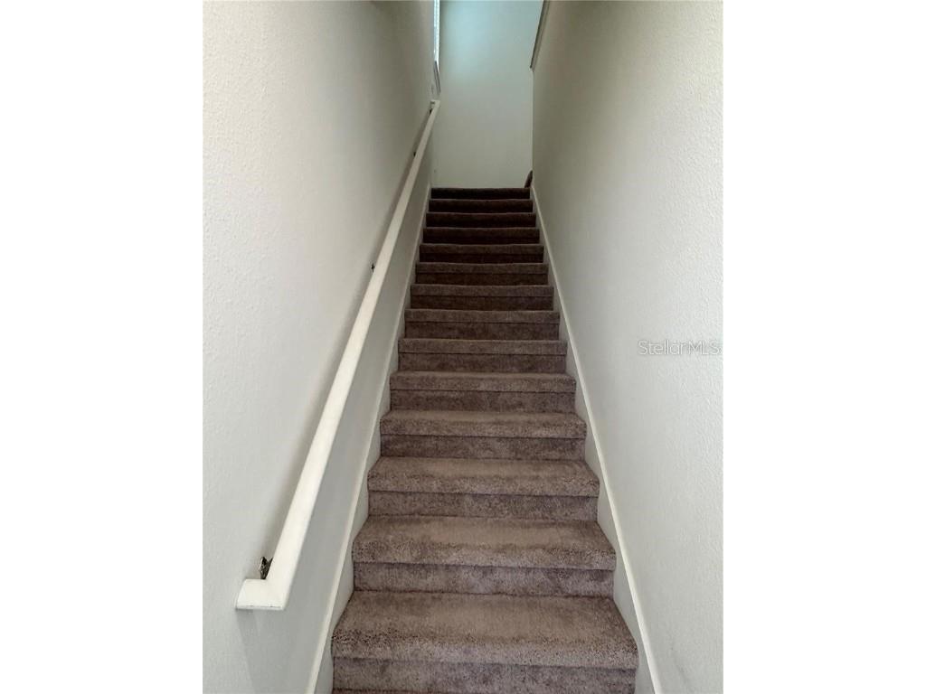 12621 Salomon Cove Drive Windermere FL 34786 S5138419 image26