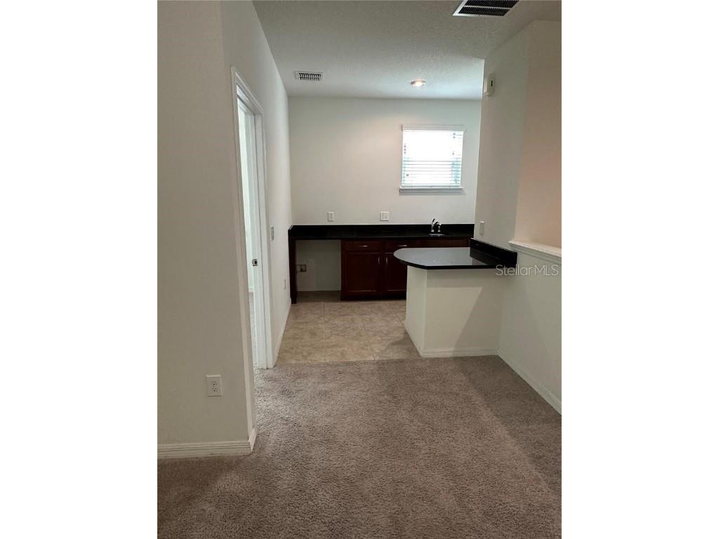 12621 Salomon Cove Drive Windermere FL 34786 S5138419 image28