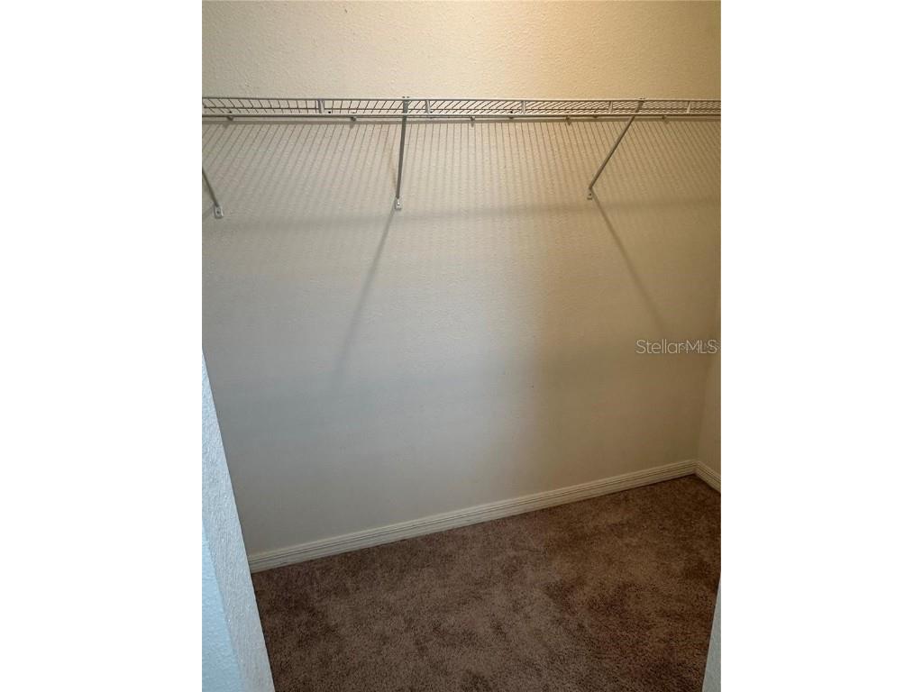 12621 Salomon Cove Drive Windermere FL 34786 S5138419 image33