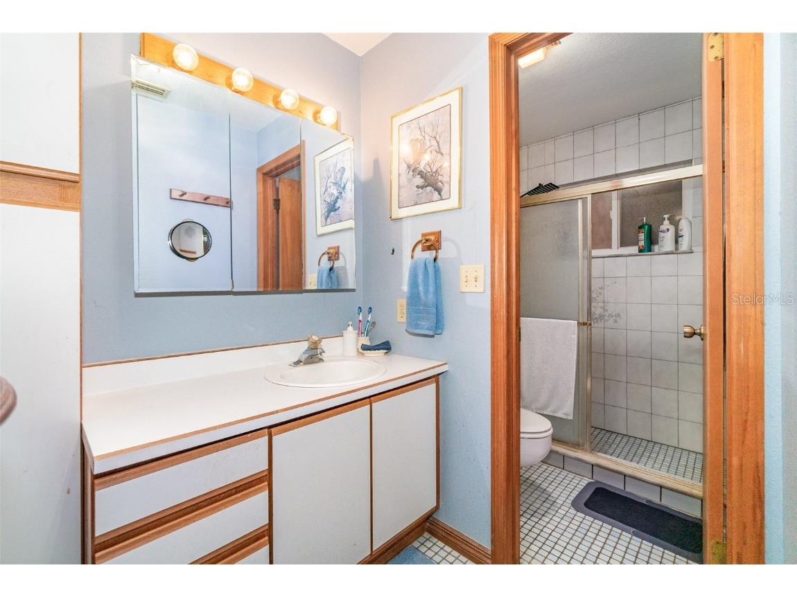 12622 Eryn Boulevard Clermont FL 34711 O6358562 image18