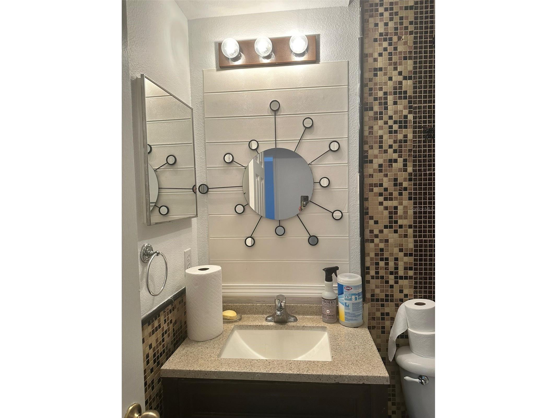 12623 Lexington Summit Street Orlando FL 32828 O6409650 image18