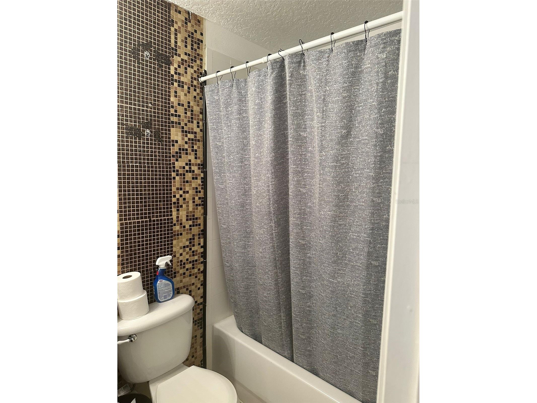 12623 Lexington Summit Street Orlando FL 32828 O6409650 image19