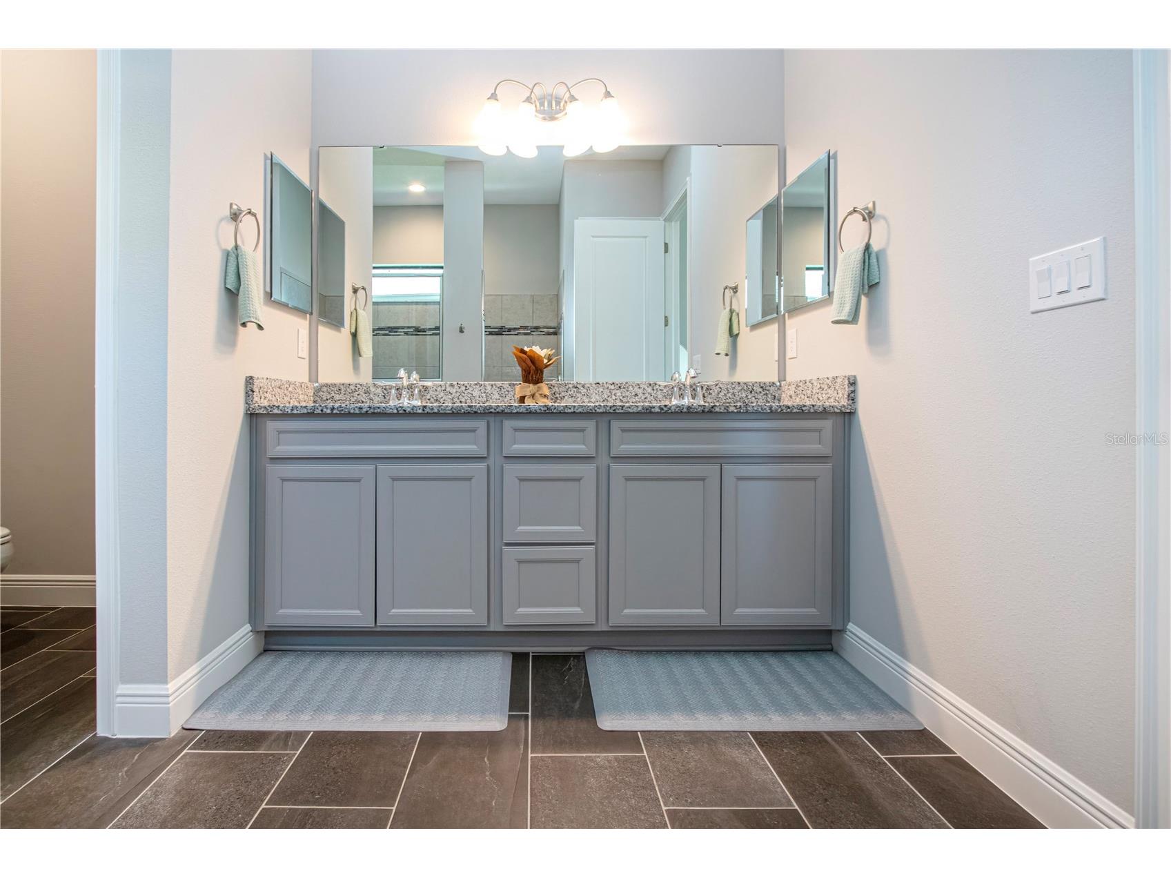 12623 Wheatgrass Court Parrish FL 34219 A4683348 image35