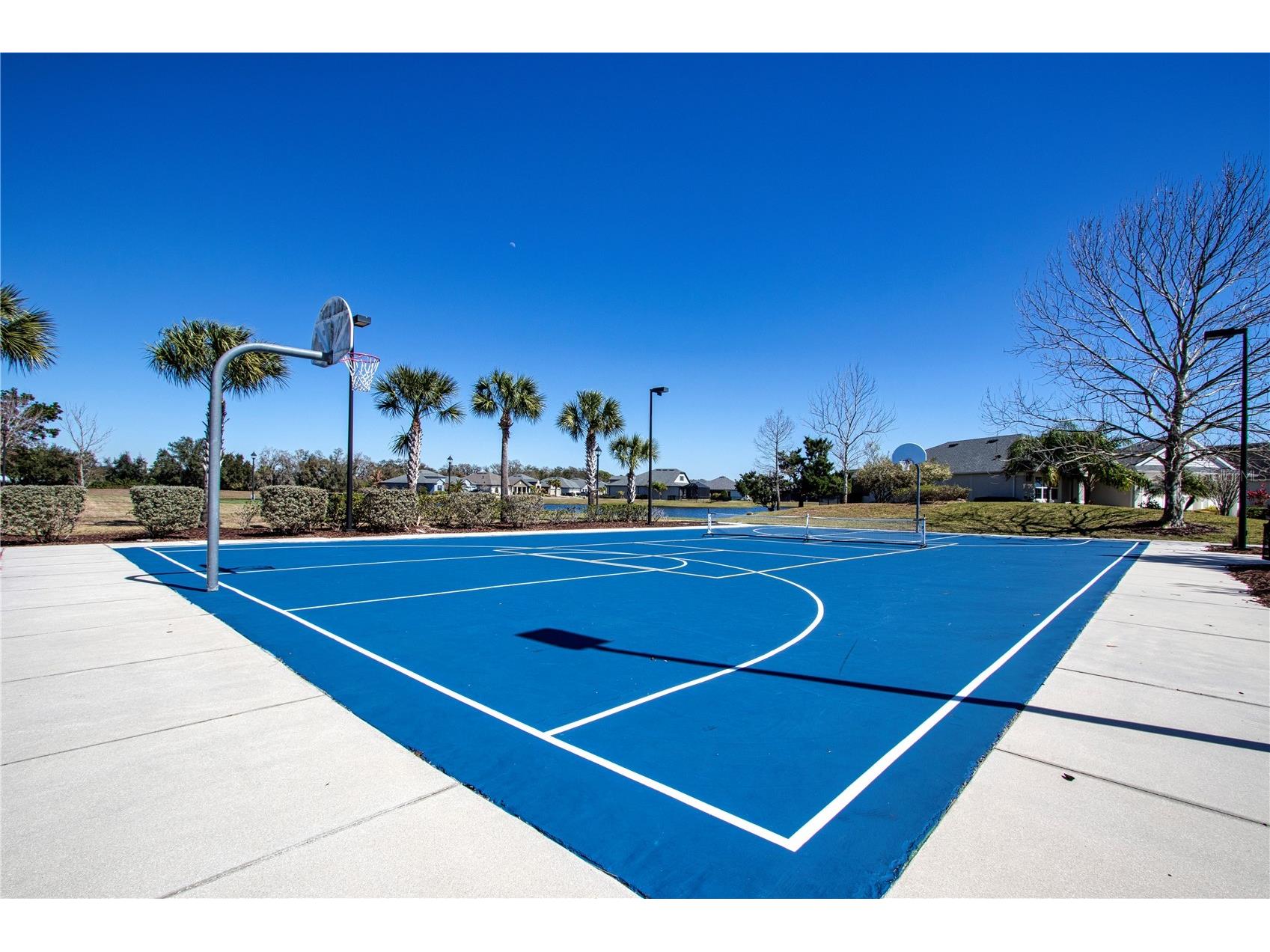 12623 Wheatgrass Court Parrish FL 34219 A4683348 image64