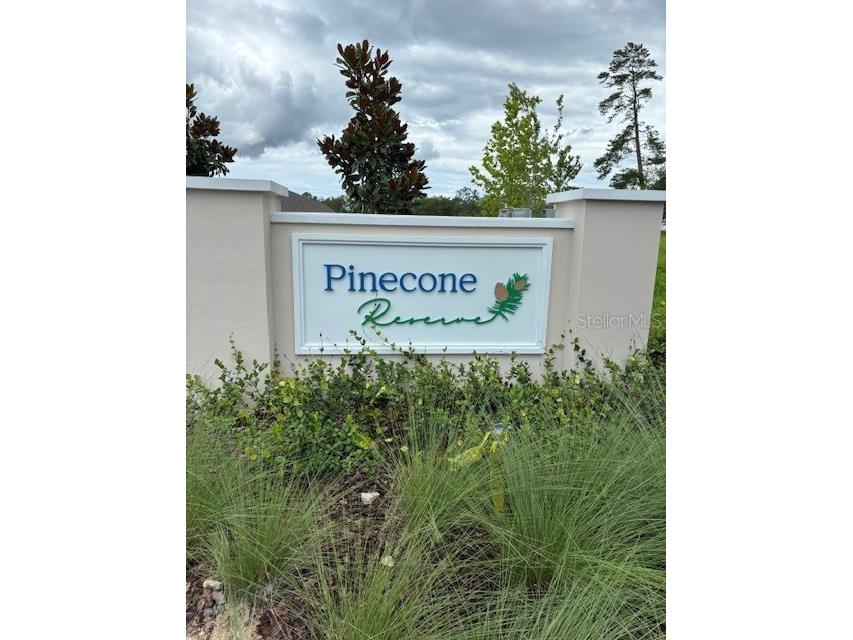 12624 Kelly Ann Loop Brooksville FL 34613 TB8461996 image2