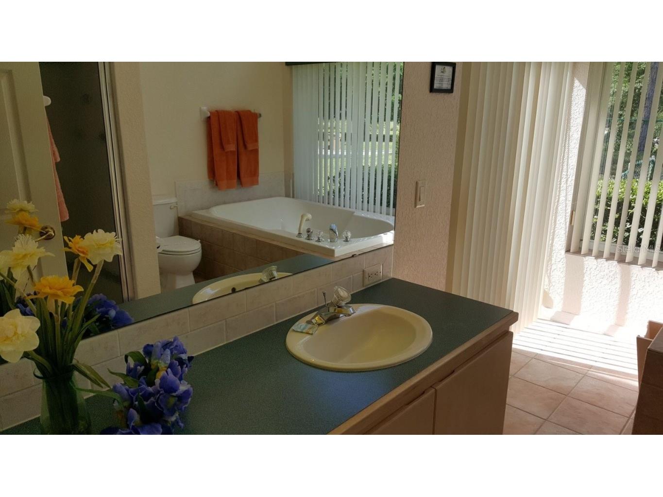 12624 Lake Denise Boulevard Clermont FL 34711 - LAKE DENISE O6196850 image33