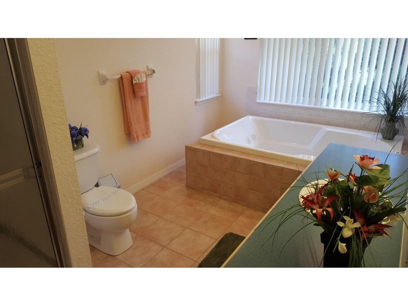 12624 Lake Denise Boulevard Clermont FL 34711 - LAKE DENISE O6196850 image34