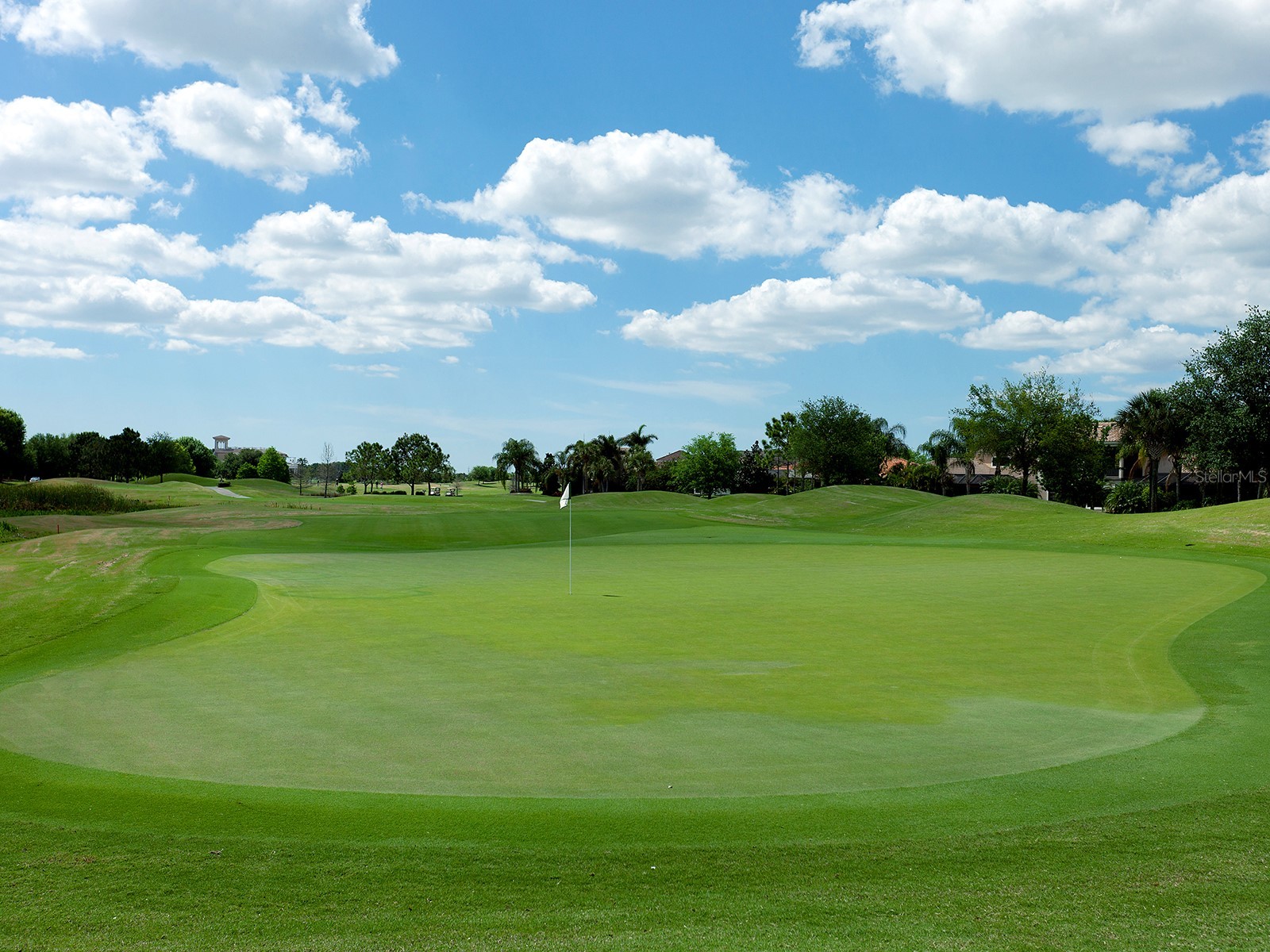 12625 Deacons Place Lakewood Ranch FL 34202 A4694618 image79
