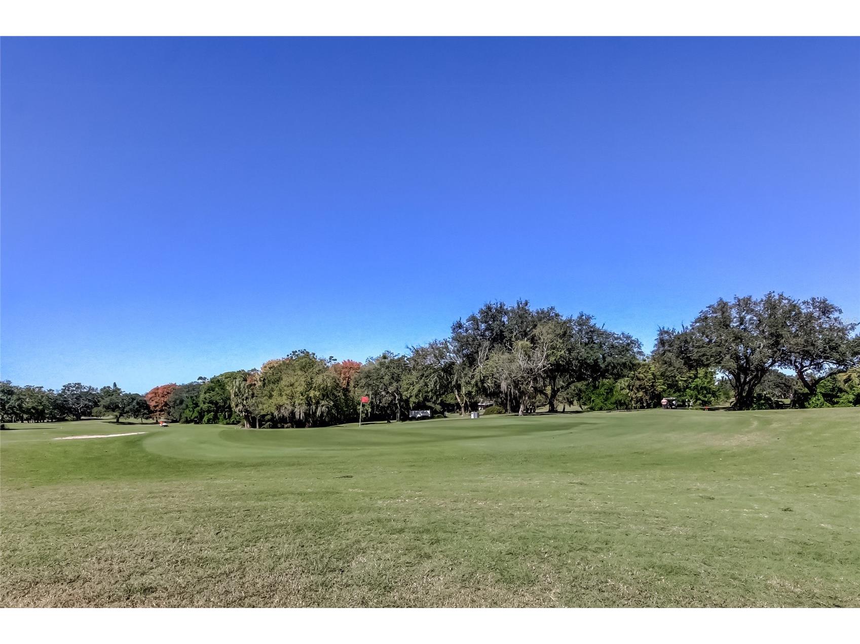 12625 Shell Point Drive Hudson FL 34667 TB8514412 image47