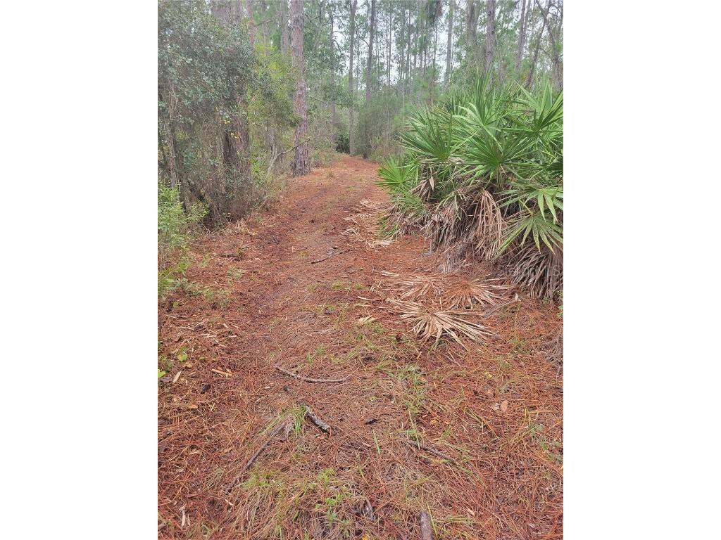 12625 Sweet Hill Road Polk City FL 33868 O6279094 image39