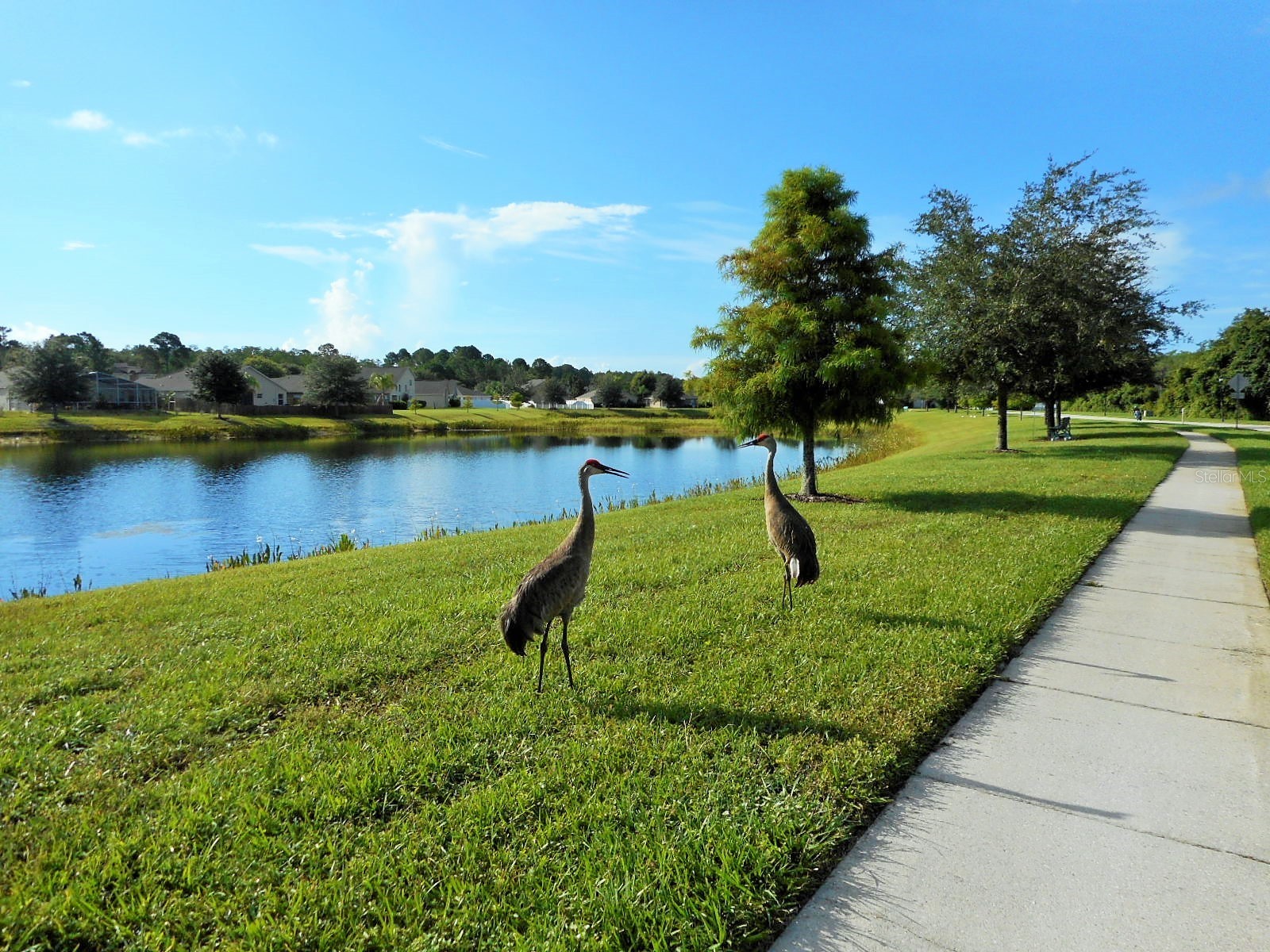 12626 Jillian Circle Hudson FL 34669 TB8520568 image64