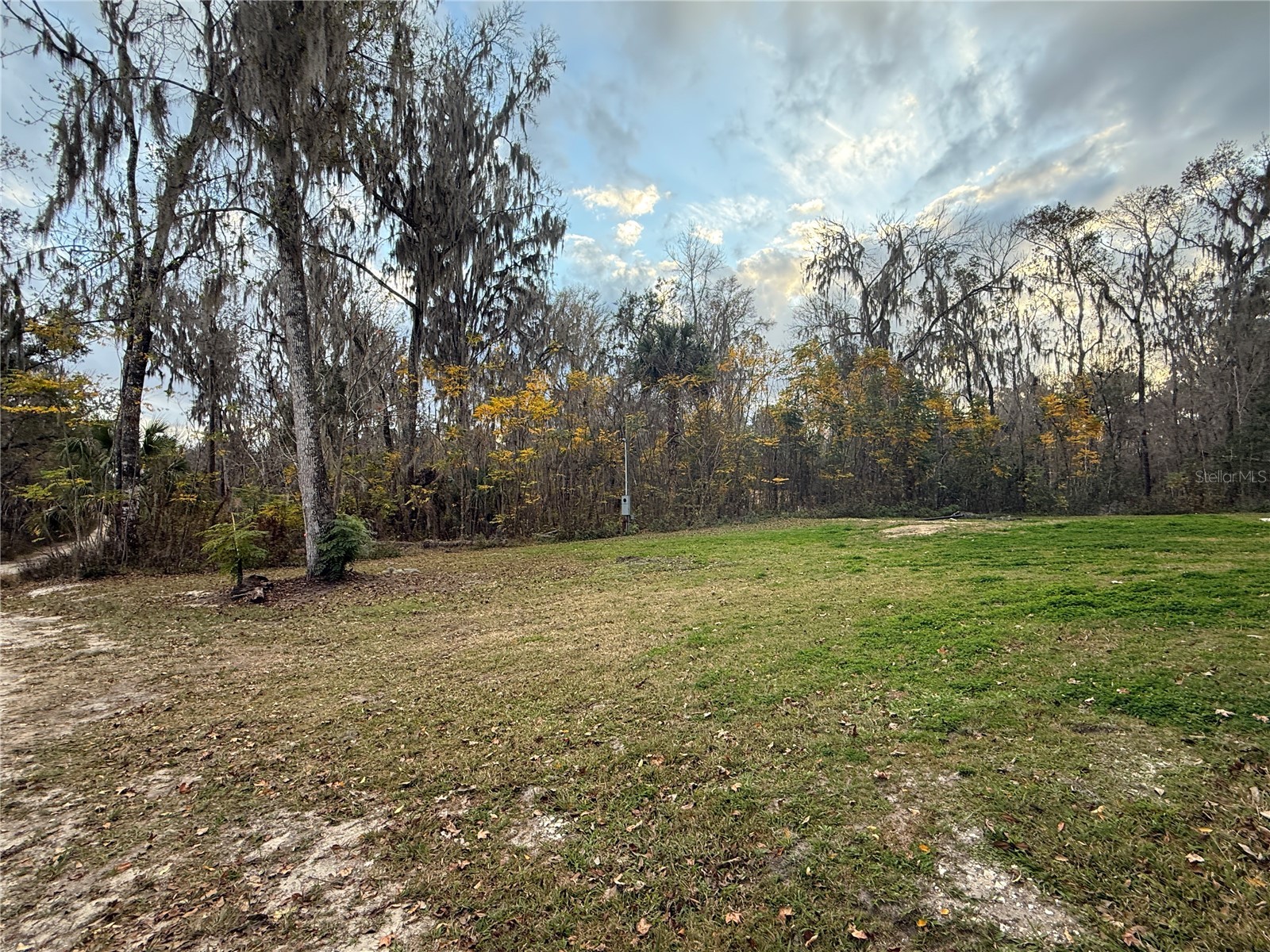 12626 SE 42nd Court Belleview FL 34420 OM716711 image4