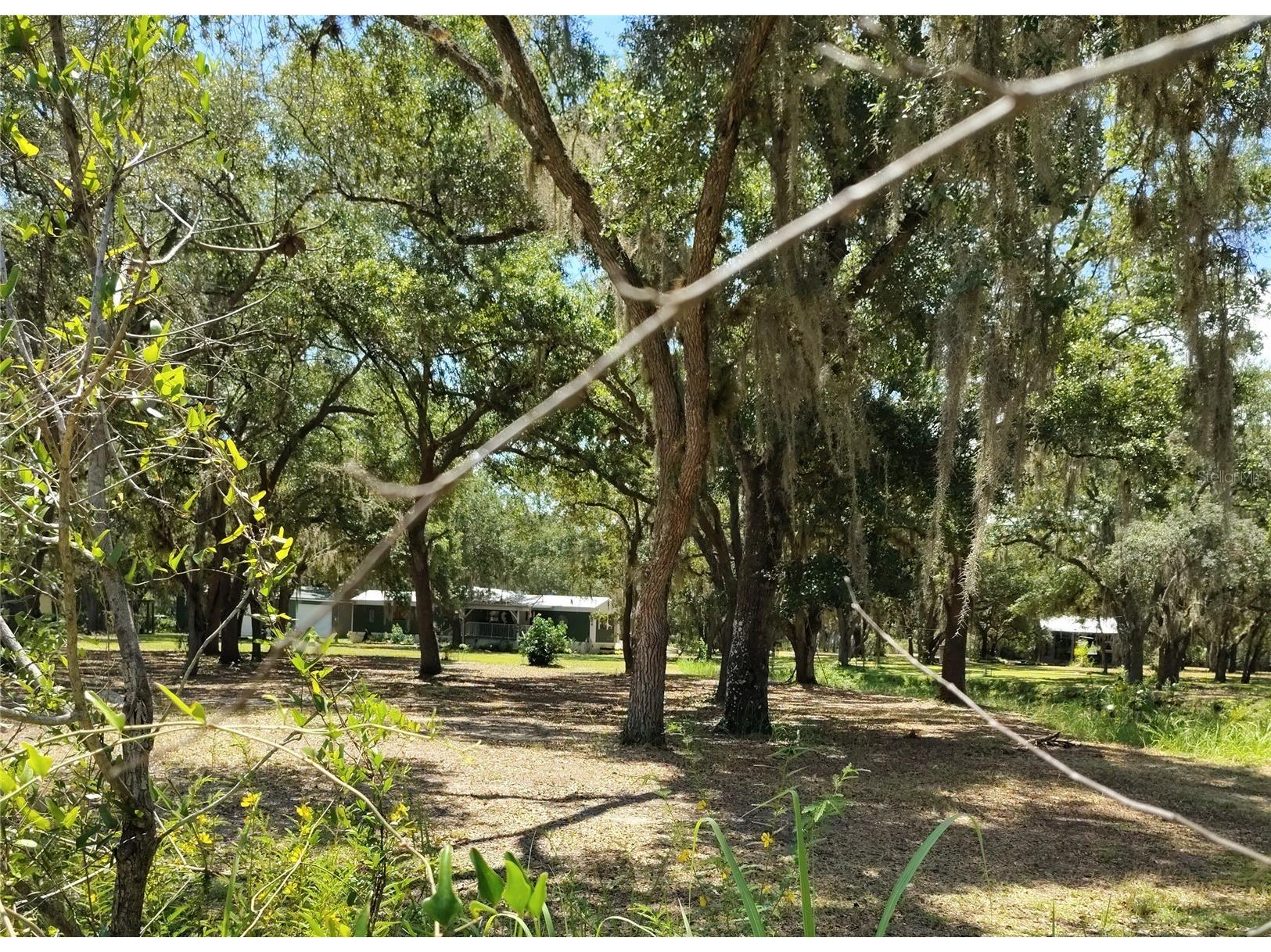12627 Blackberry Lane Lake Wales FL 33898 - LAKE ROSALIE P4939193 image1