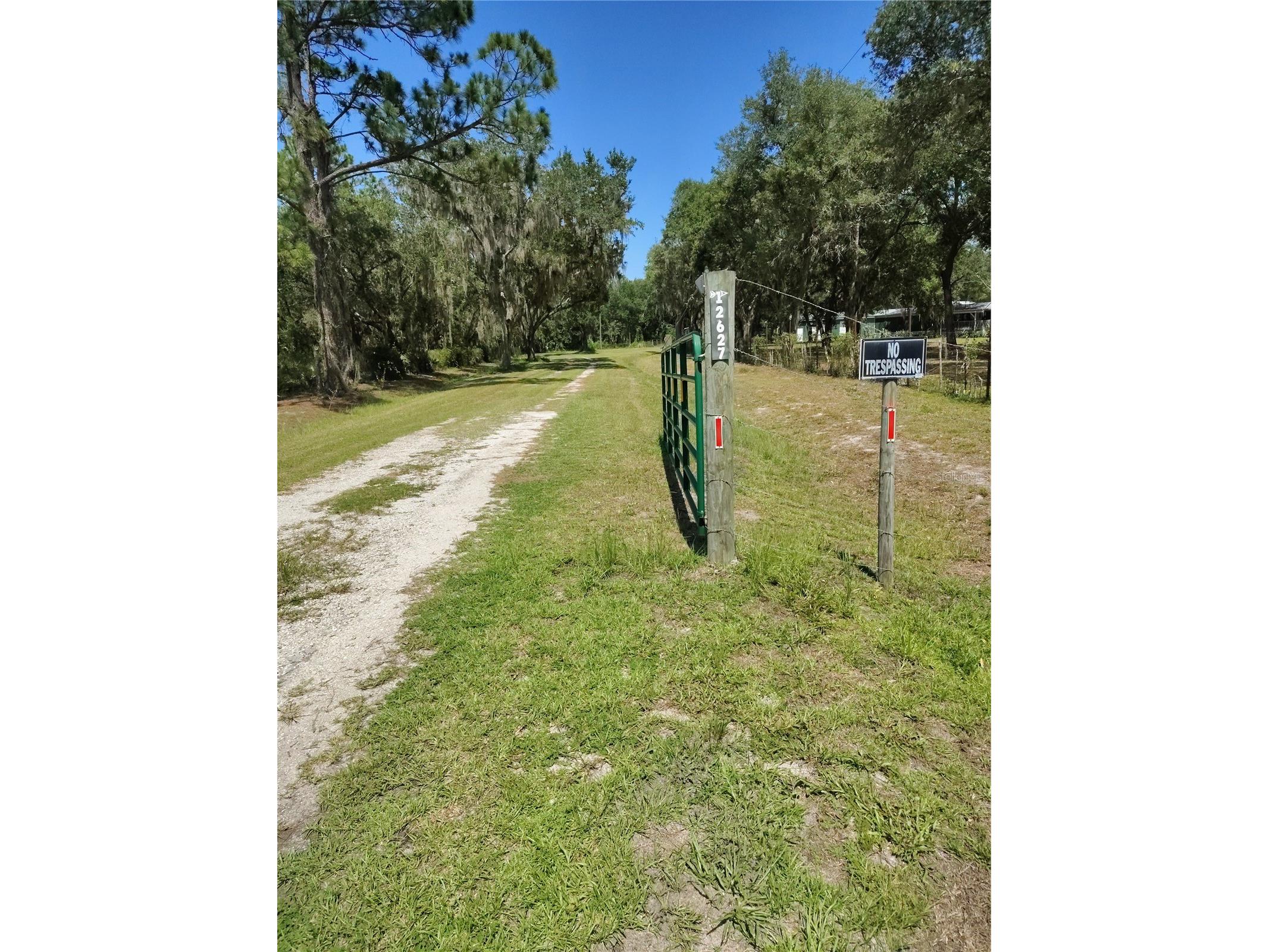12627 Blackberry Lane Lake Wales FL 33898 - LAKE ROSALIE P4939193 image3