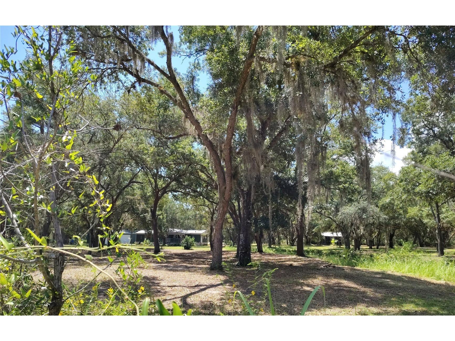 12627 Blackberry Lane Lake Wales FL 33898 - LAKE ROSALIE P4939193 image4