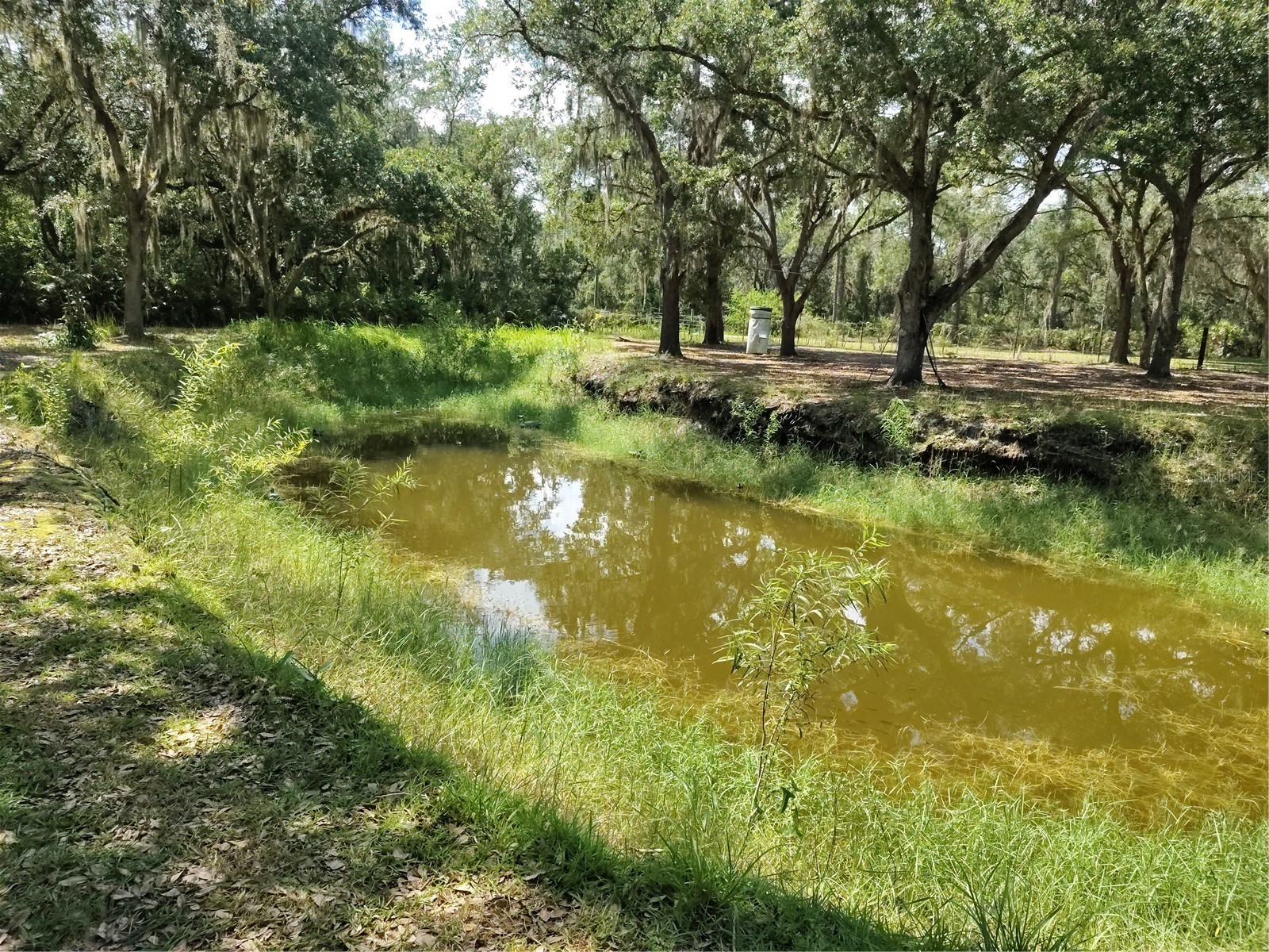 12627 Blackberry Lane Lake Wales FL 33898 - LAKE ROSALIE P4939193 image40