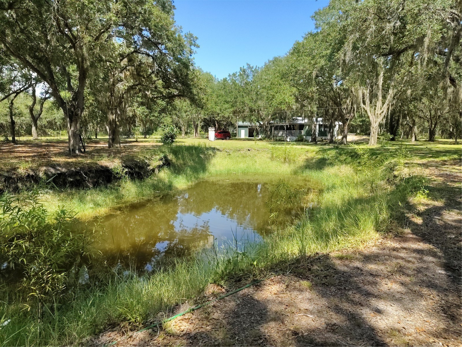 12627 Blackberry Lane Lake Wales FL 33898 - LAKE ROSALIE P4939193 image41