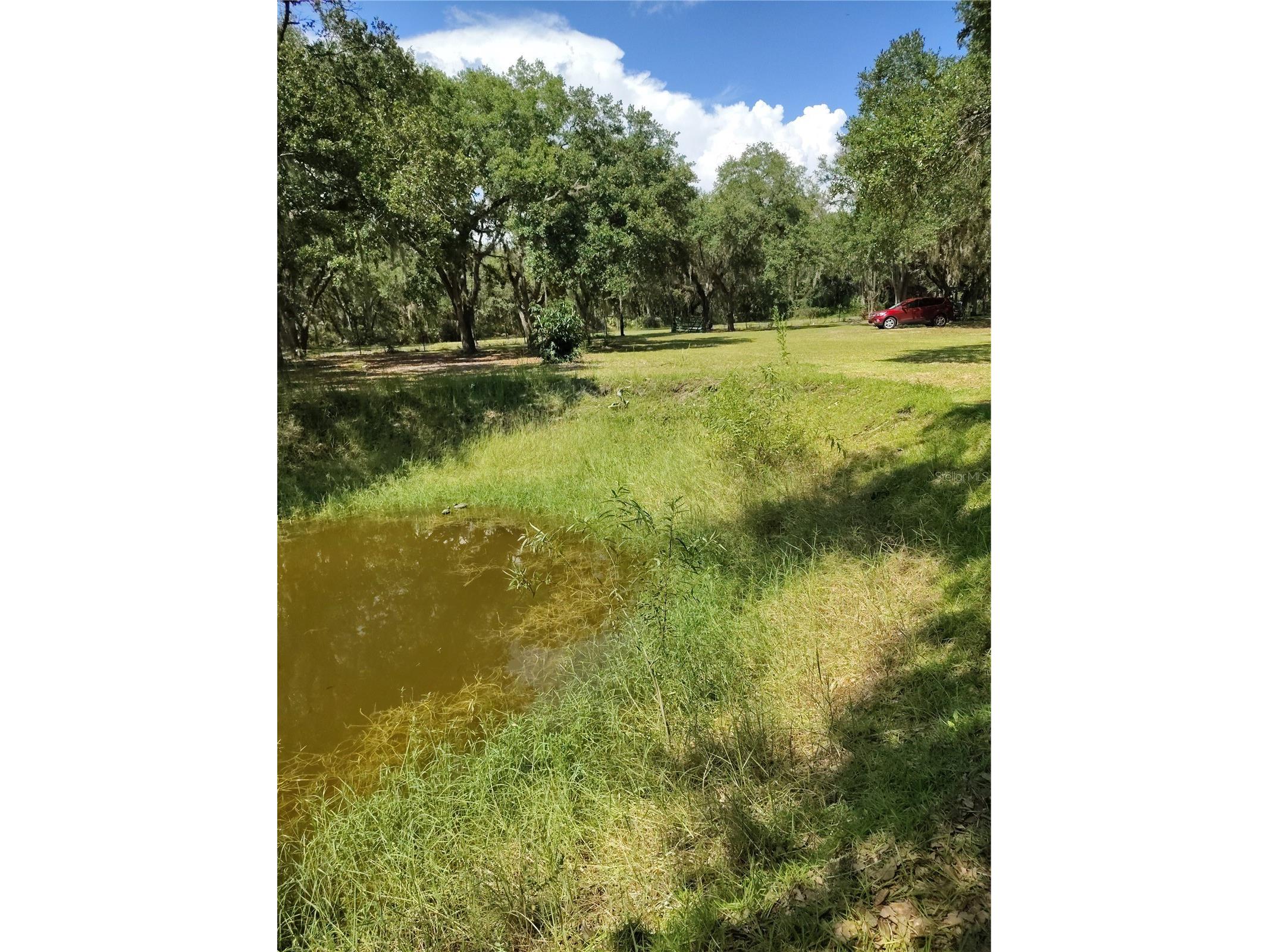 12627 Blackberry Lane Lake Wales FL 33898 - LAKE ROSALIE P4939193 image42