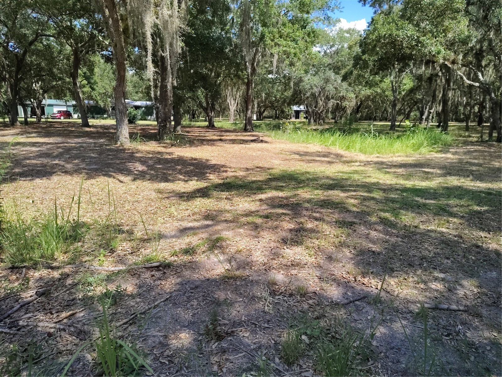 12627 Blackberry Lane Lake Wales FL 33898 - LAKE ROSALIE P4939193 image43