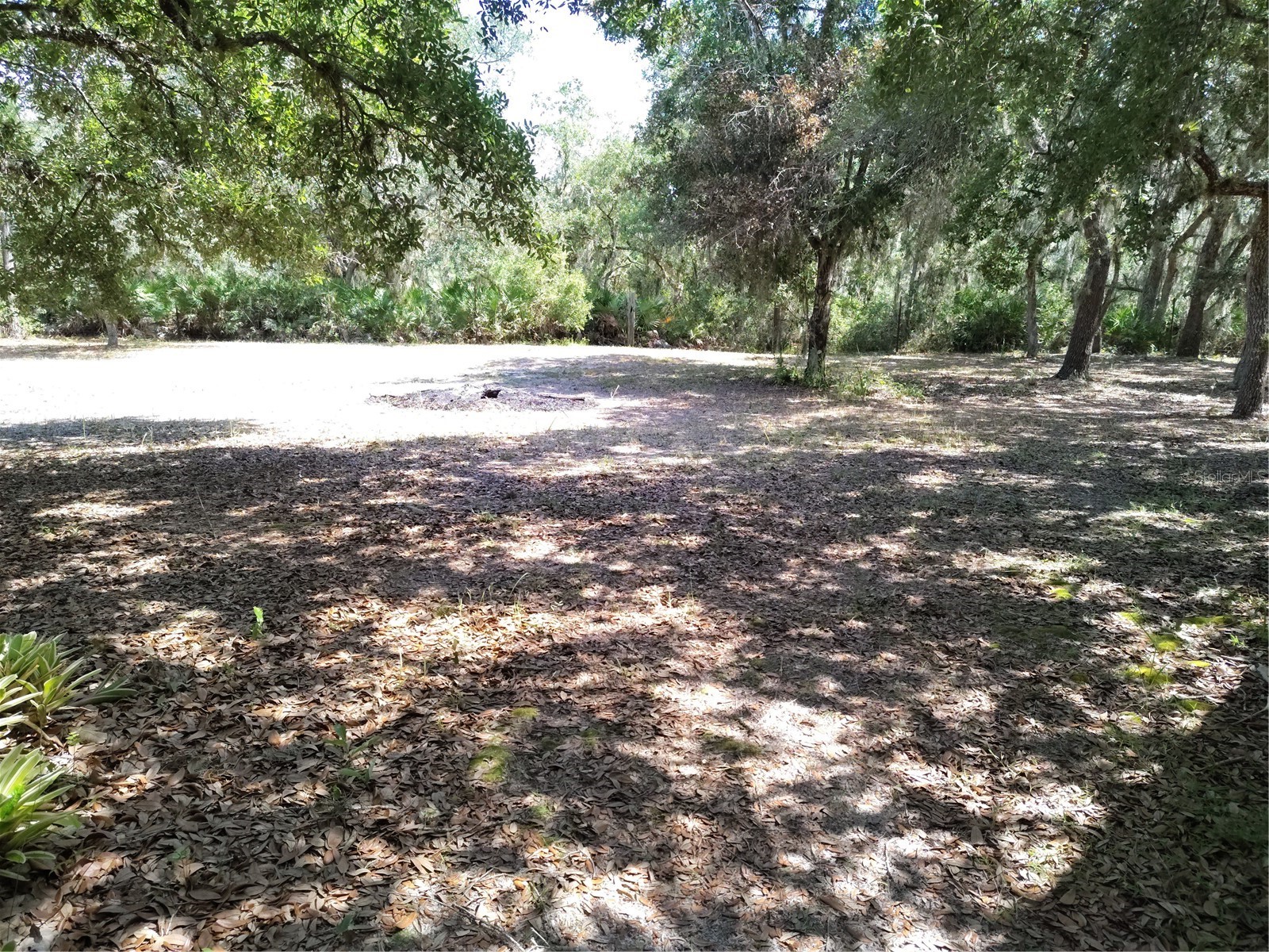 12627 Blackberry Lane Lake Wales FL 33898 - LAKE ROSALIE P4939193 image44