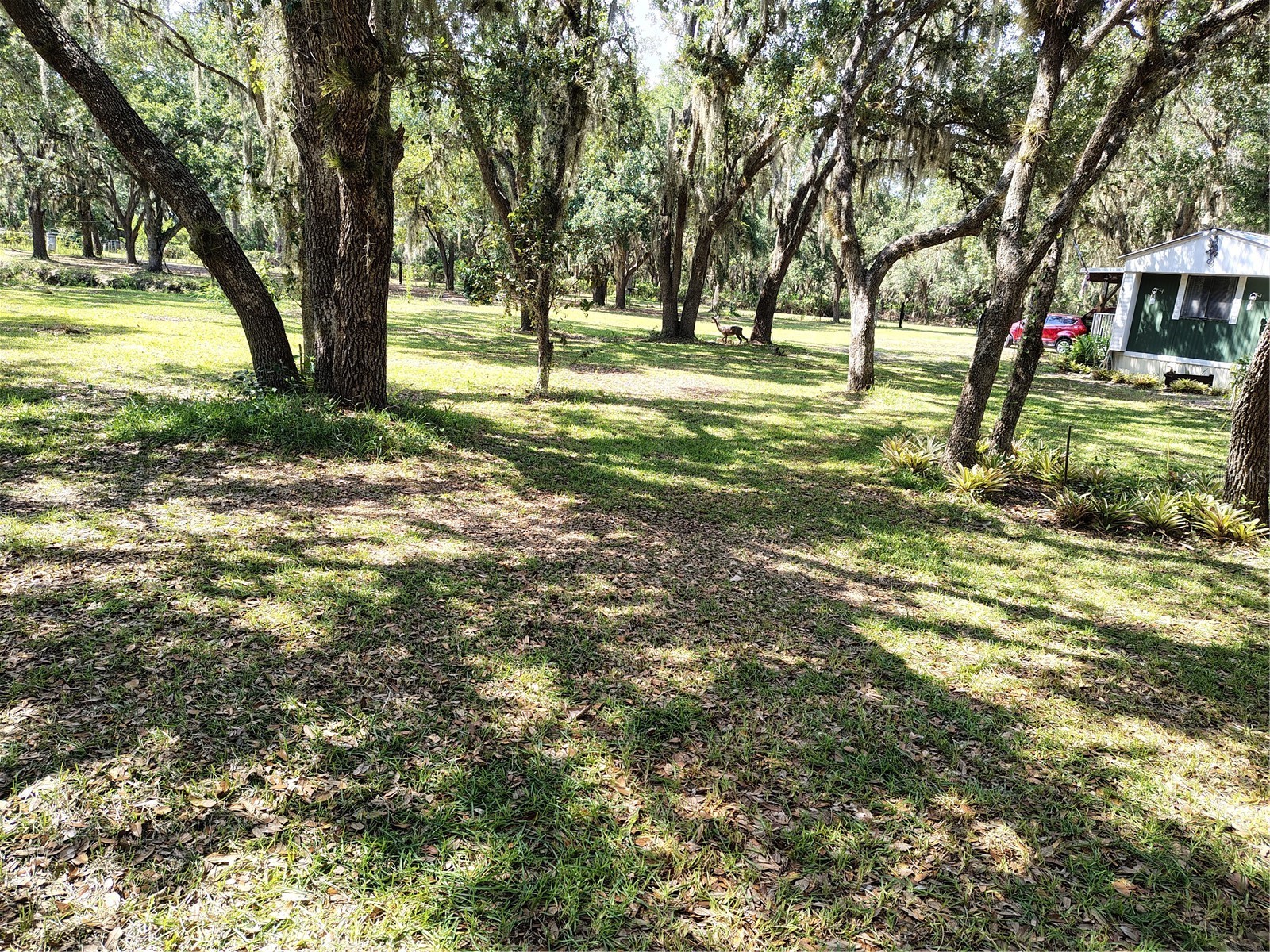 12627 Blackberry Lane Lake Wales FL 33898 - LAKE ROSALIE P4939193 image45