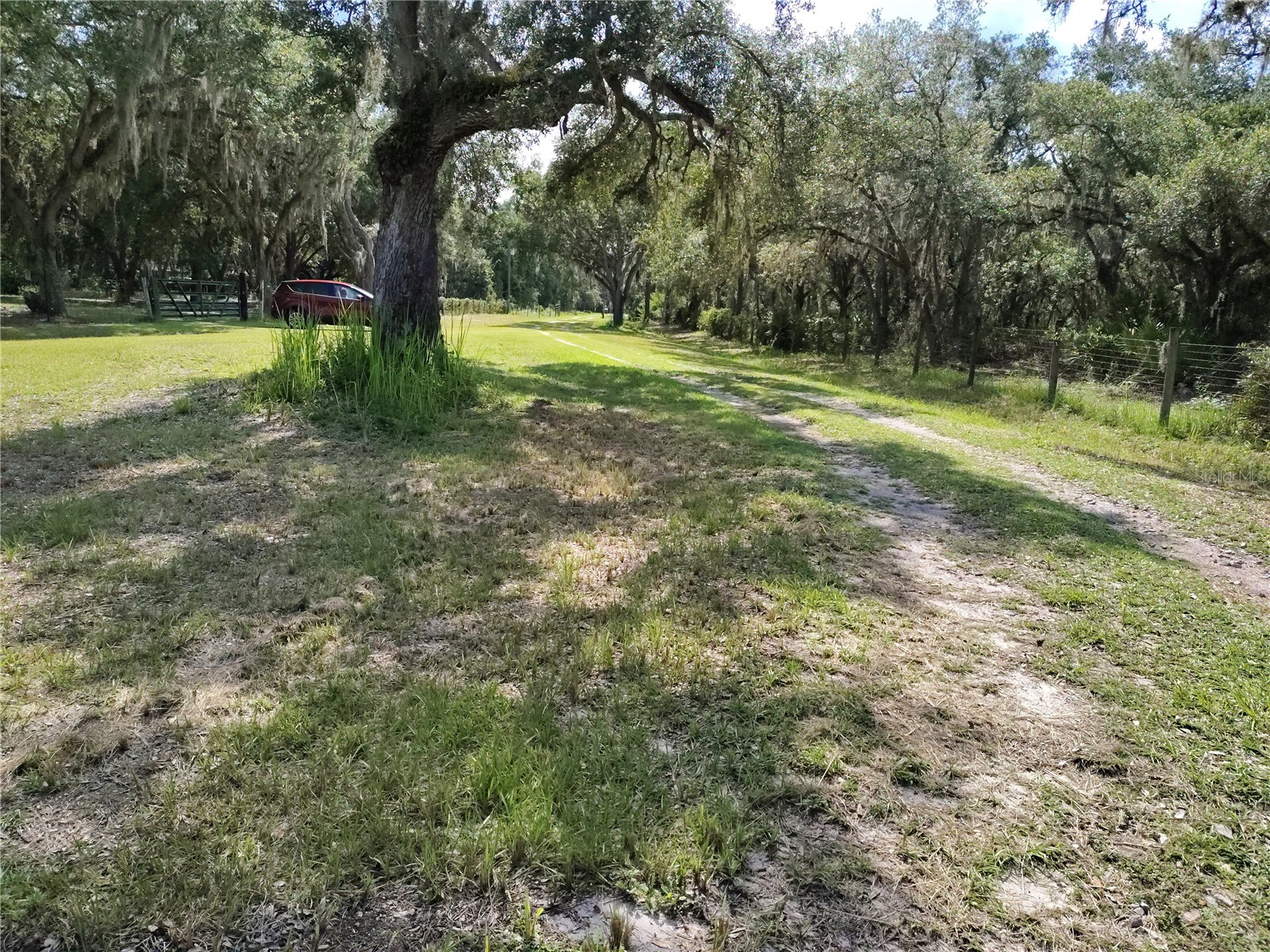 12627 Blackberry Lane Lake Wales FL 33898 - LAKE ROSALIE P4939193 image46