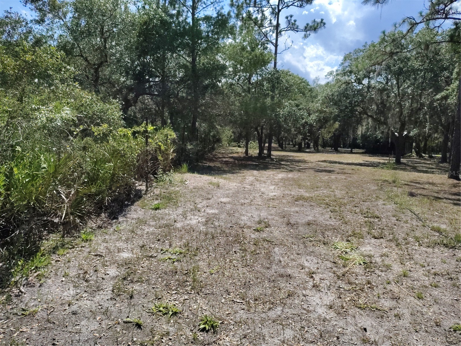 12627 Blackberry Lane Lake Wales FL 33898 - LAKE ROSALIE P4939193 image47