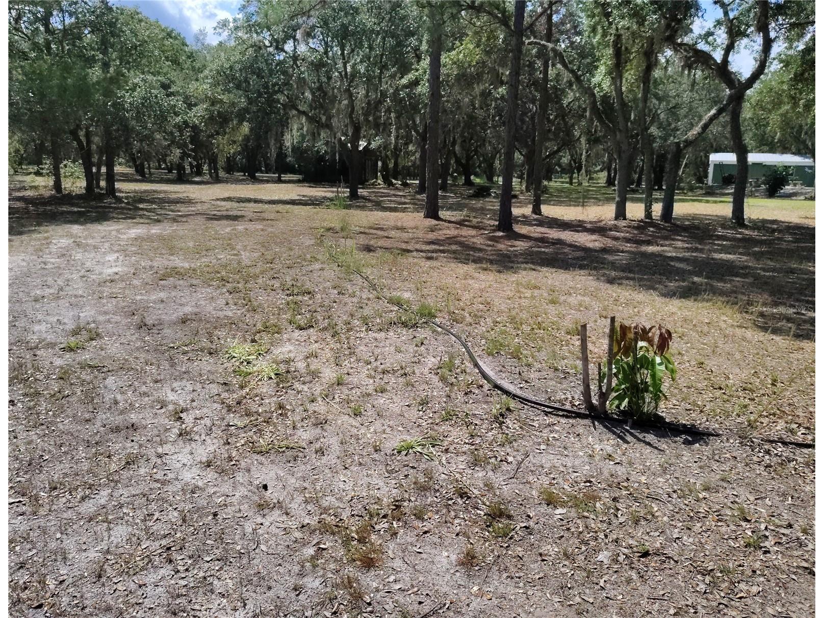 12627 Blackberry Lane Lake Wales FL 33898 - LAKE ROSALIE P4939193 image48