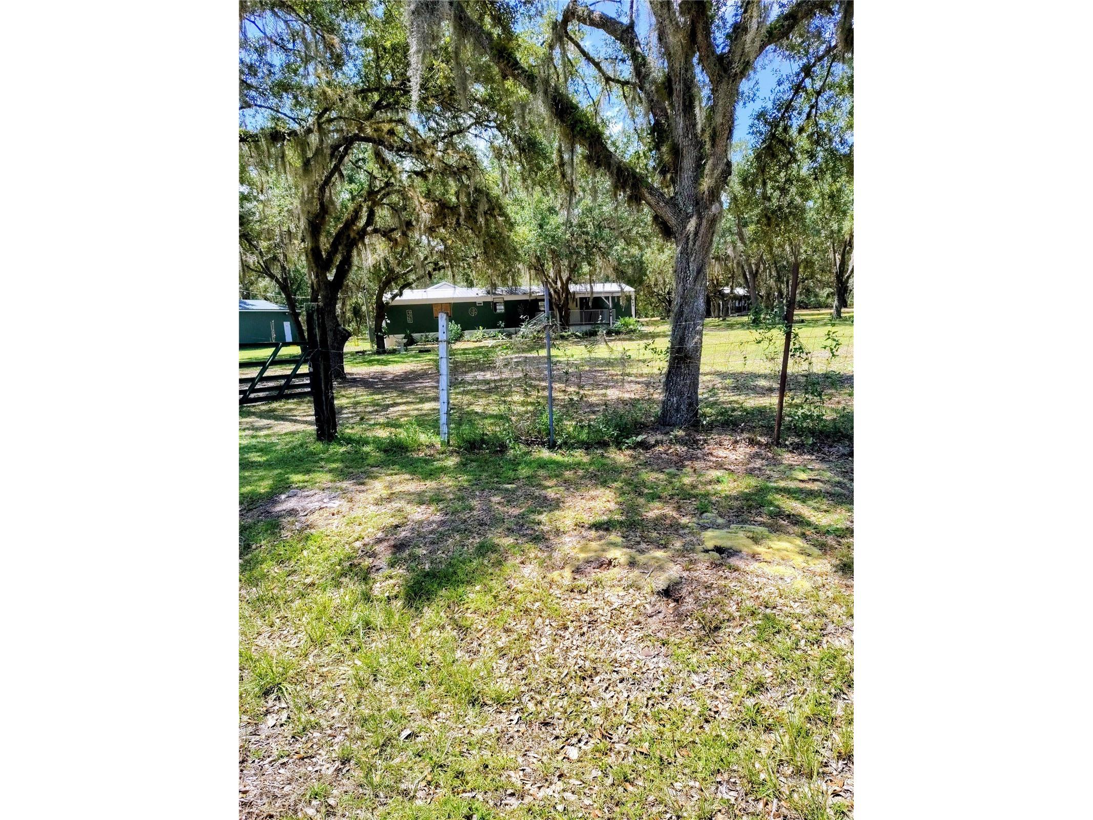 12627 Blackberry Lane Lake Wales FL 33898 - LAKE ROSALIE P4939193 image5