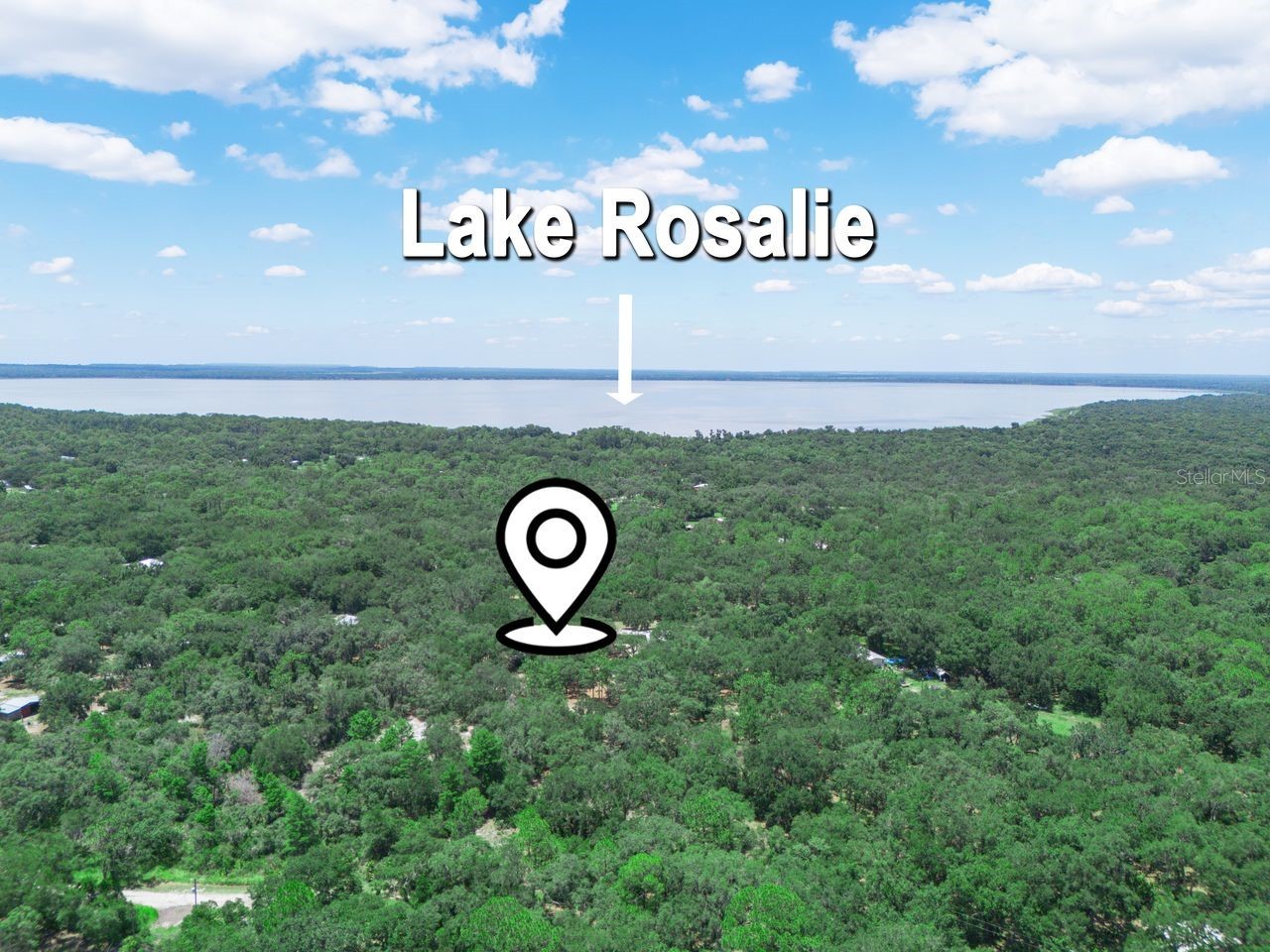 12627 Blackberry Lane Lake Wales FL 33898 - LAKE ROSALIE P4939193 image52
