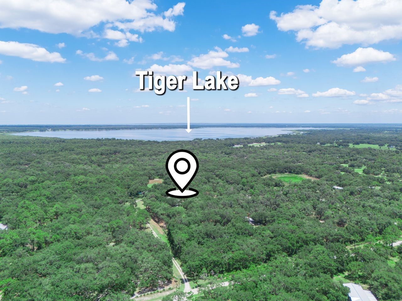 12627 Blackberry Lane Lake Wales FL 33898 - LAKE ROSALIE P4939193 image53