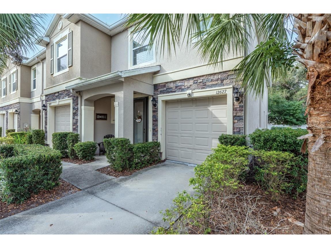12627 Lexington Ridge Street Riverview FL 33578 T3490774 image1