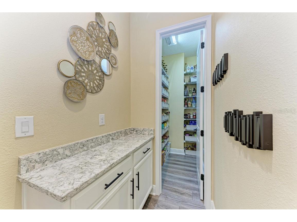 12627 Wheatgrass Court Parrish FL 34219 TB8461924 image24