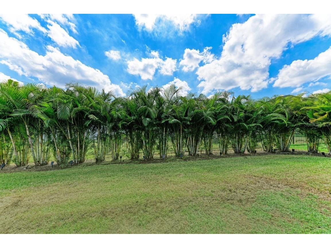 12627 Wheatgrass Court Parrish FL 34219 TB8461924 image51