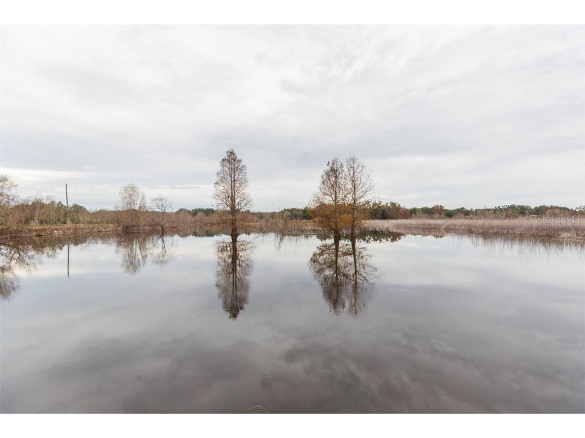 12628 Fort King Road Dade City FL 33525 - TANK LAKE TB8458392 image37