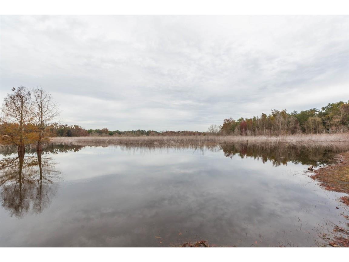 12628 Fort King Road Dade City FL 33525 - TANK LAKE TB8458392 image38