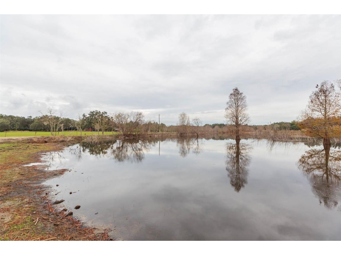 12628 Fort King Road Dade City FL 33525 - TANK LAKE TB8458392 image39