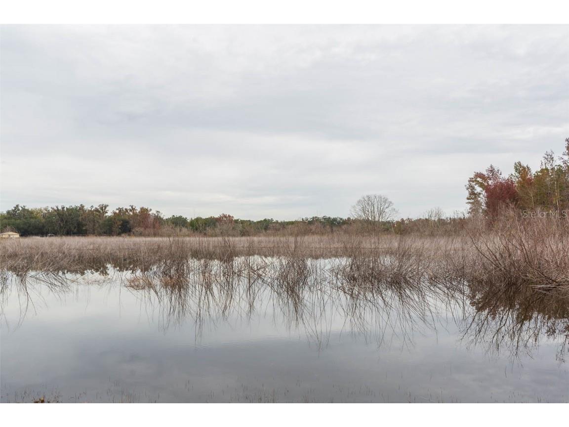 12628 Fort King Road Dade City FL 33525 - TANK LAKE TB8458392 image41