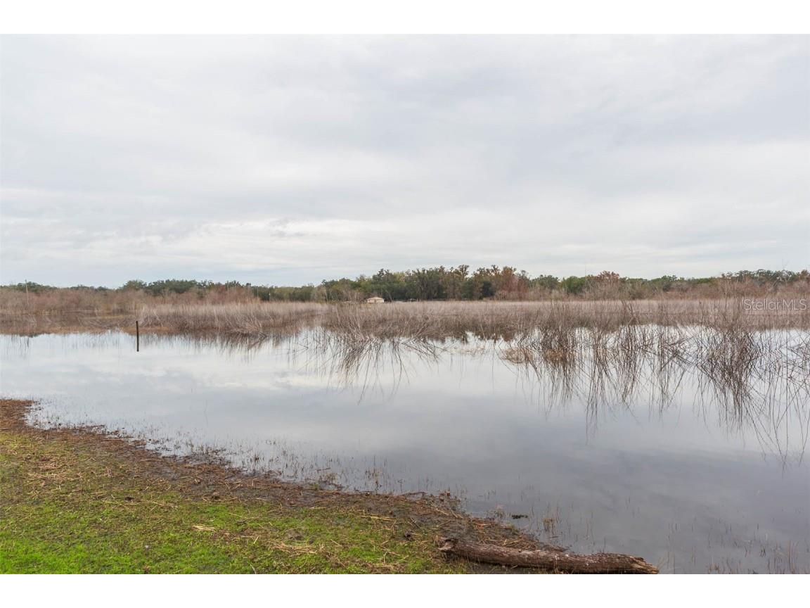 12628 Fort King Road Dade City FL 33525 - TANK LAKE TB8458392 image42
